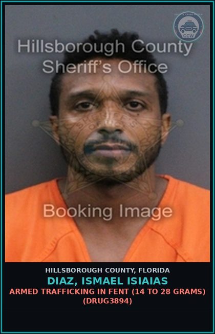 CCW arrest card for DIAZ, ISMAEL ISIAIAS in Hillsborough County: ARMED TRAFFICKING IN Fent (14 TO 28 GRAMS) (DRUG3894)
