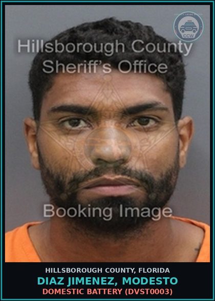 CCW arrest card for DIAZ JIMENEZ, MODESTO in Hillsborough County: DOMESTIC BATTERY (DVST0003)