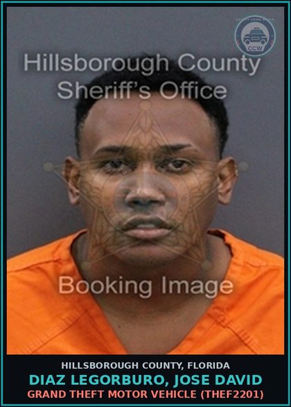 CCW arrest card for DIAZ LEGORBURO, JOSE DAVID in Hillsborough County: GRAND THEFT MOTOR VEHICLE (THEF2201)