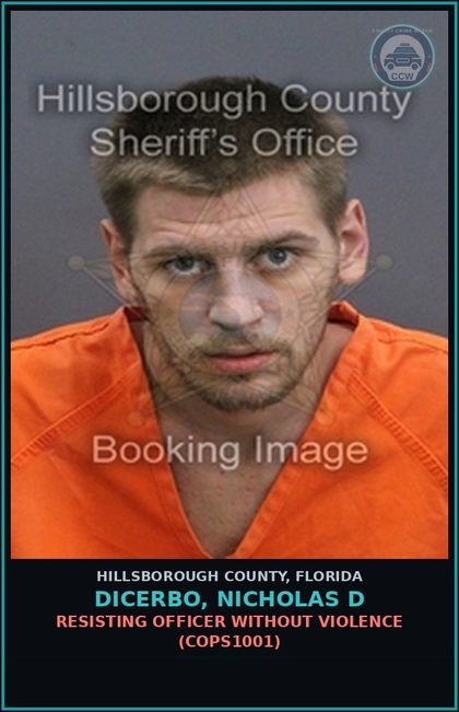 CCW arrest card for DICERBO, NICHOLAS D in Hillsborough County: RESISTING OFFICER WITHOUT VIOLENCE (COPS1001)