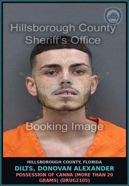 CCW arrest card for DILTS, DONOVAN ALEXANDER in Hillsborough County: POSSESSION OF Canna (MORE THAN 20 GRAMS) (DRUG2105)