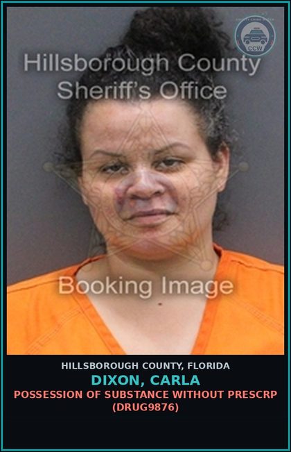 CCW arrest card for DIXON, CARLA in Hillsborough County: POSSESSION OF DRUG WITHOUT PRESCRIPTION (DRUG9876)