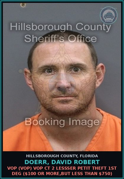 CCW arrest card for DOERR, DAVID ROBERT in Hillsborough County: VOP (VOP) VOP CT 2 LESSSER PETIT THEFT 1ST DEG ($100 OR MORE,BUT LESS THAN $750)