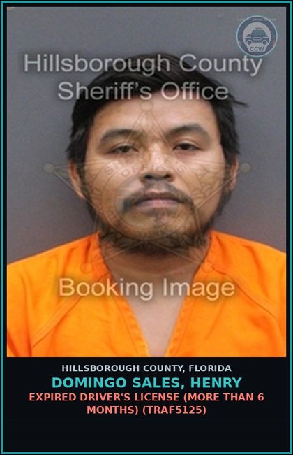 CCW arrest card for DOMINGO SALES, HENRY in Hillsborough County: EXPIRED DRIVER'S LICENSE (MORE THAN 6 MONTHS) (TRAF5125)