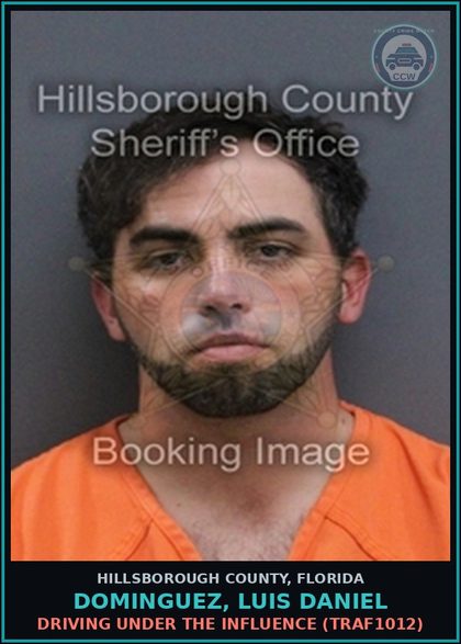 CCW arrest card for DOMINGUEZ, LUIS DANIEL in Hillsborough County: DRIVING UNDER THE INFLUENCE (TRAF1012)
