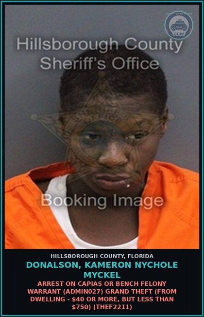CCW arrest card for DONALSON, KAMERON NYCHOLE MYCKEL in Hillsborough County: ARREST ON CAPIAS OR BENCH FELONY WARRANT (ADMIN027) GRAND THEFT (FROM DWELLING - $40 OR MORE, BUT LESS THAN $750) (THEF2211)