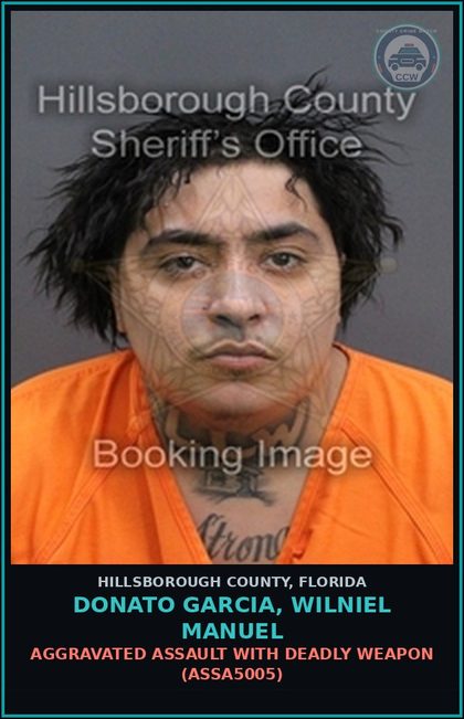 CCW arrest card for DONATO GARCIA, WILNIEL MANUEL in Hillsborough County: AGGRAVATED ASSAULT WITH DEADLY WEAPON (ASSA5005)