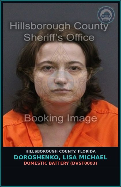 CCW arrest card for DOROSHENKO, LISA MICHAEL in Hillsborough County: DOMESTIC BATTERY (DVST0003)