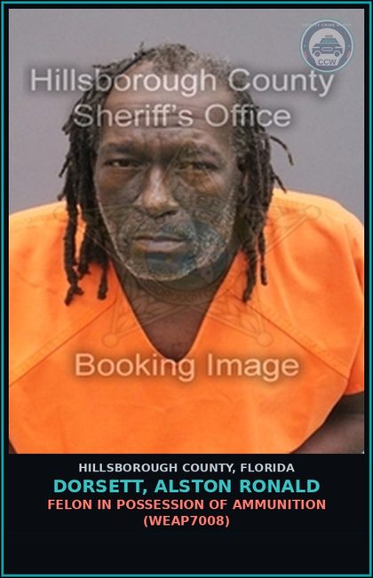 CCW arrest card for DORSETT, ALSTON RONALD in Hillsborough County: FELON IN POSSESSION OF AMMUNITION (WEAP7008)