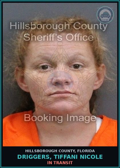 CCW arrest card for DRIGGERS, TIFFANI NICOLE in Hillsborough County: In Transit