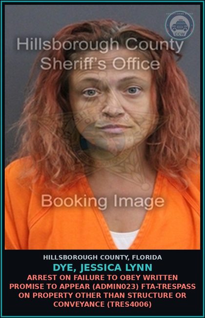 CCW arrest card for DYE, JESSICA LYNN in Hillsborough County: ARREST ON FAILURE TO OBEY WRITTEN PROMISE TO APPEAR (ADMIN023) FTA-TRESPASS ON PROPERTY OTHER THAN STRUCTURE OR CONVEYANCE (TRES4006)