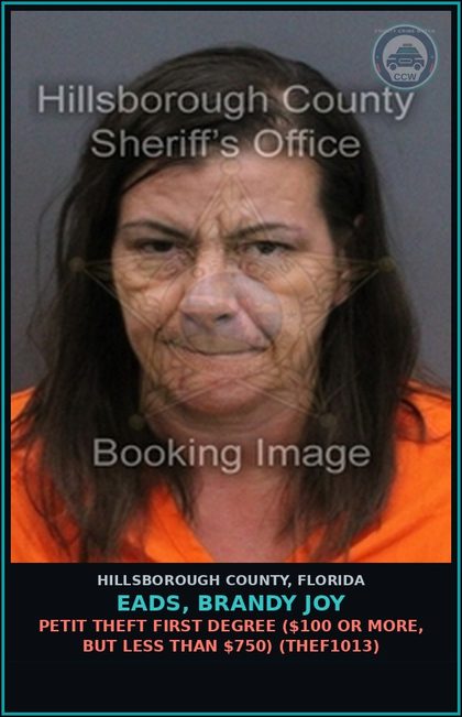 CCW arrest card for EADS, BRANDY JOY in Hillsborough County: PETIT THEFT FIRST DEGREE ($100 OR MORE, BUT LESS THAN $750) (THEF1013)