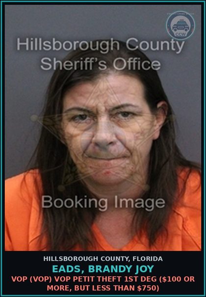 CCW arrest card for EADS, BRANDY JOY in Hillsborough County: VOP (VOP) VOP PETIT THEFT 1ST DEG ($100 OR MORE, BUT LESS THAN $750)