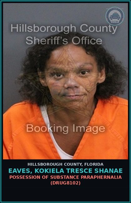 CCW arrest card for EAVES, KOKIELA TRESCE SHANAE in Hillsborough County: RESISTING OFFICER WITHOUT VIOLENCE (COPS1001)