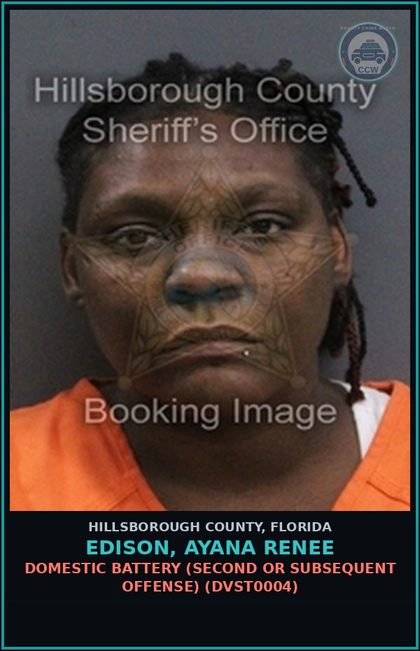 CCW arrest card for EDISON, AYANA RENEE in Hillsborough County: DOMESTIC BATTERY (SECOND OR SUBSEQUENT OFFENSE) (DVST0004)