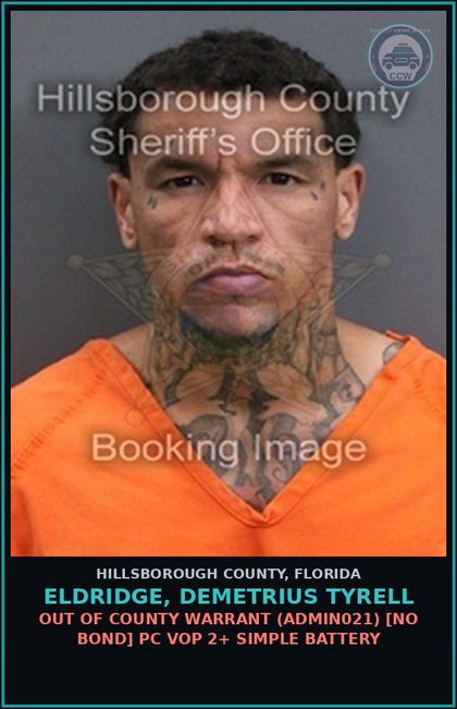 CCW arrest card for ELDRIDGE, DEMETRIUS TYRELL in Hillsborough County: FAILURE OF s3xual OFFENDER TO REGISTER ELECTRONIC MAIL ADDRESSES OR INTERNET IDENTIFIERS (SEXU8039)