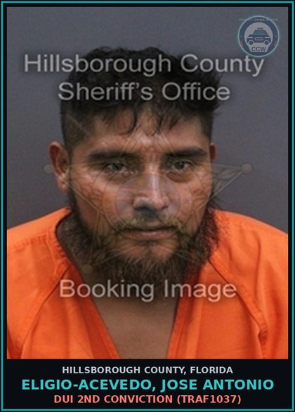 CCW arrest card for ELIGIO-ACEVEDO, JOSE ANTONIO in Hillsborough County: DUI 2ND CONVICTION (TRAF1037)