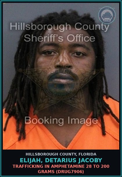 CCW arrest card for ELIJAH, DETARIUS JACOBY in Hillsborough County: TRAFFICKING IN AMPHETAMINE 28 TO 200 GRAMS (DRUG7906)