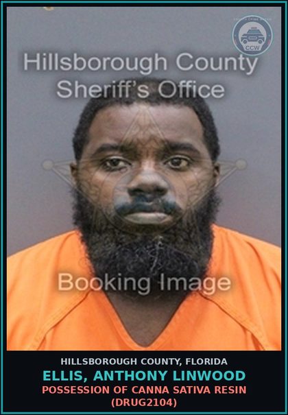 CCW arrest card for ELLIS, ANTHONY LINWOOD in Hillsborough County: POSSESSION OF Canna SATIVA RESIN (DRUG2104)
