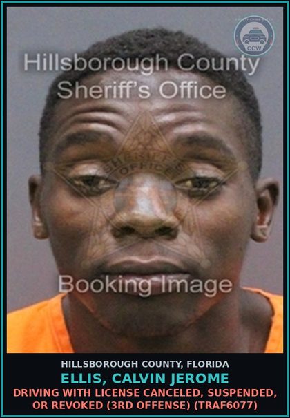 CCW arrest card for ELLIS, CALVIN JEROME in Hillsborough County: DRIVING WITH LICENSE CANCELED, SUSPENDED, OR REVOKED (3RD OFFENSE) (TRAF6077)