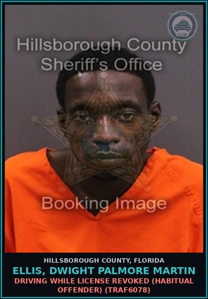 CCW arrest card for ELLIS, DWIGHT PALMORE MARTIN in Hillsborough County: DRIVING WHILE LICENSE REVOKED (HABITUAL OFFENDER) (TRAF6078)