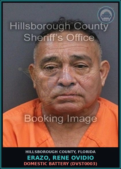 CCW arrest card for ERAZO, RENE OVIDIO in Hillsborough County: DOMESTIC BATTERY (DVST0003)