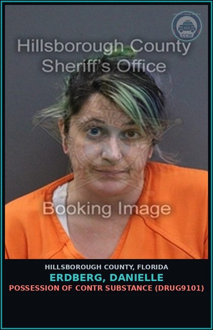 CCW arrest card for ERDBERG, DANIELLE in Hillsborough County: POSSESSION OF contr substance (DRUG9101)