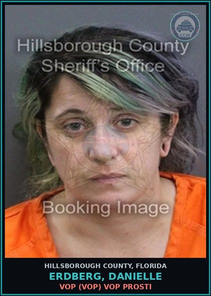 CCW arrest card for ERDBERG, DANIELLE in Hillsborough County: VOP (VOP) VOP Prosti