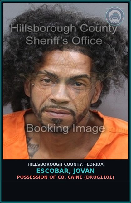 CCW arrest card for ESCOBAR, JOVAN in Hillsborough County: POSSESSION OF COCAINE (DRUG1101)