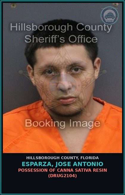 CCW arrest card for ESPARZA, JOSE ANTONIO in Hillsborough County: POSSESSION OF Canna SATIVA RESIN (DRUG2104)