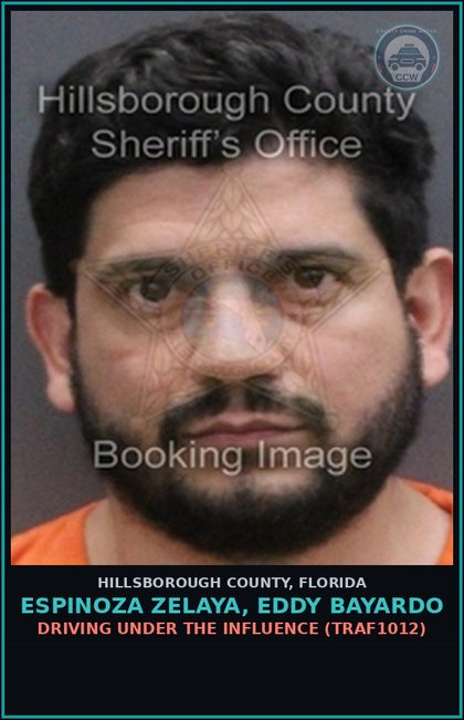 CCW arrest card for ESPINOZA ZELAYA, EDDY BAYARDO in Hillsborough County: DRIVING UNDER THE INFLUENCE (TRAF1012)