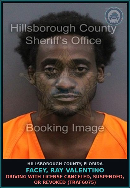 CCW arrest card for FACEY, RAY VALENTINO in Hillsborough County: DRIVING WITH LICENSE CANCELED, SUSPENDED, OR REVOKED (TRAF6075)