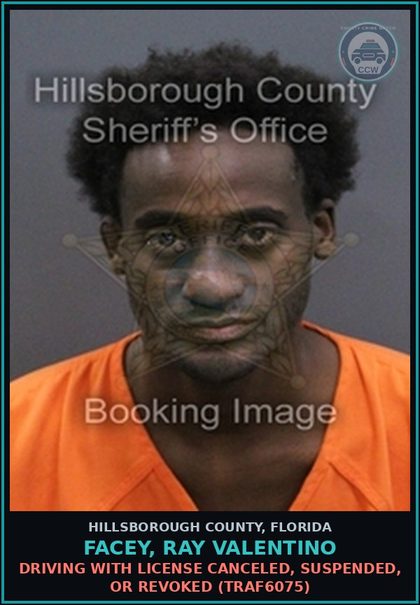 CCW arrest card for FACEY, RAY VALENTINO in Hillsborough County: DRIVING WITH LICENSE CANCELED, SUSPENDED, OR REVOKED (TRAF6075)