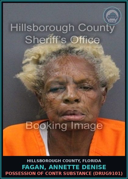 CCW arrest card for FAGAN, ANNETTE DENISE in Hillsborough County, Florida: POSSESSION OF contr substance (DRUG9101)