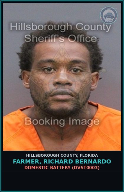 CCW arrest card for FARMER, RICHARD BERNARDO in Hillsborough County: DOMESTIC BATTERY (DVST0003)