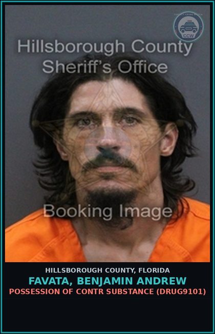 CCW arrest card for FAVATA, BENJAMIN ANDREW in Hillsborough County: POSSESSION OF contr substance (DRUG9101)