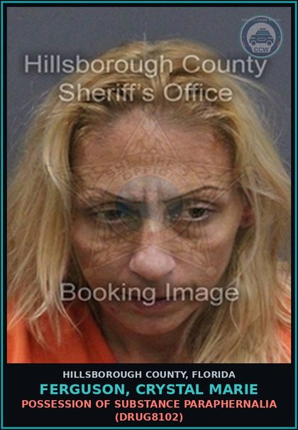 CCW arrest card for FERGUSON, CRYSTAL MARIE in Hillsborough County: POSSESSION OF DRUG PARAPHERNALIA (DRUG8102)