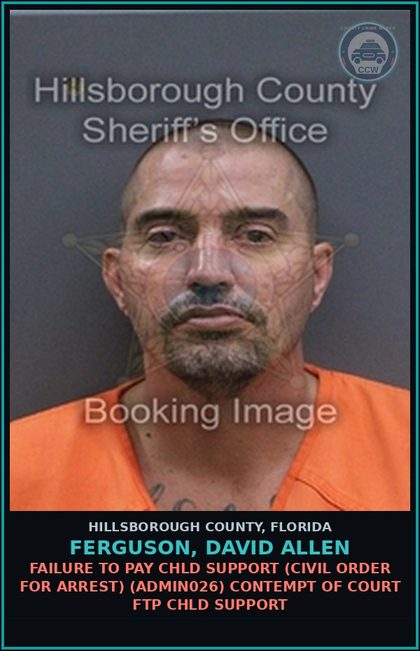 CCW arrest card for FERGUSON, DAVID ALLEN in Hillsborough County: FAILURE TO PAY chld SUPPORT (CIVIL ORDER FOR ARREST) (ADMIN026) CONTEMPT OF COURT FTP chld SUPPORT