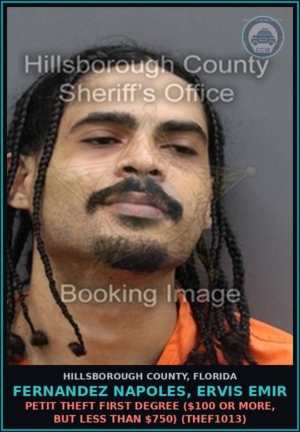 CCW arrest card for FERNANDEZ NAPOLES, ERVIS EMIR in Hillsborough County: PETIT THEFT FIRST DEGREE ($100 OR MORE, BUT LESS THAN $750) (THEF1013)