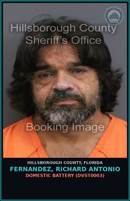 CCW arrest card for FERNANDEZ, RICHARD ANTONIO in Hillsborough County: DOMESTIC BATTERY (DVST0003)
