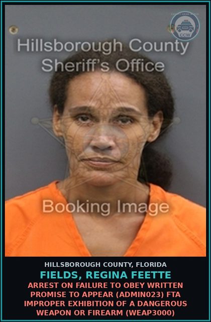 CCW arrest card for FIELDS, REGINA FEETTE in Hillsborough County: ARREST ON FAILURE TO OBEY WRITTEN PROMISE TO APPEAR (ADMIN023) FTA IMPROPER EXHIBITION OF A DANGEROUS WEAPON OR FIREARM (WEAP3000)