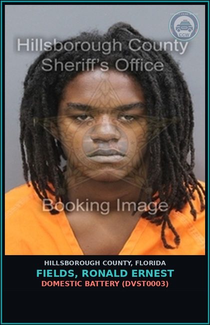 CCW arrest card for FIELDS, RONALD ERNEST in Hillsborough County: DOMESTIC BATTERY (DVST0003)