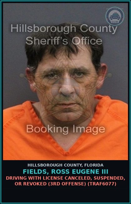 CCW arrest card for FIELDS, ROSS EUGENE III in Hillsborough County: DRIVING WITH LICENSE CANCELED, SUSPENDED, OR REVOKED (3RD OFFENSE) (TRAF6077)