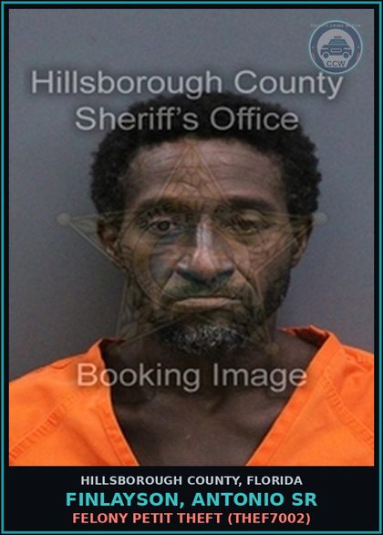 CCW arrest card for FINLAYSON, ANTONIO SR in Hillsborough County: FELONY PETIT THEFT (THEF7002)