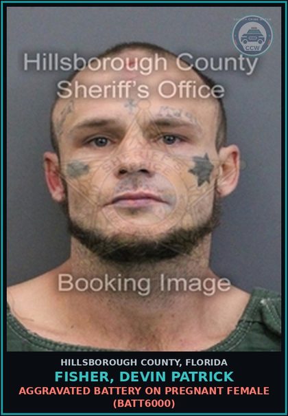 CCW arrest card for FISHER, DEVIN PATRICK in Hillsborough County: AGGRAVATED BATTERY ON PREGNANT FEMALE (BATT6000)