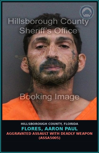 CCW arrest card for FLORES, AARON PAUL in Hillsborough County: DOMESTIC BATTERY (DVST0003)