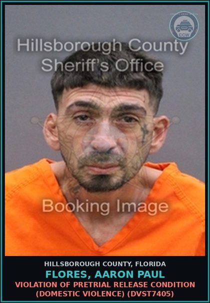 CCW arrest card for FLORES, AARON PAUL in Hillsborough County: VIOLATION OF PRETRIAL RELEASE CONDITION (DOMESTIC VIOLENCE) (DVST7405)