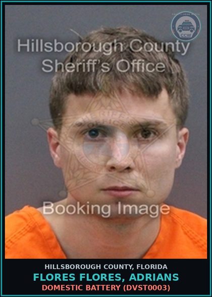 CCW arrest card for FLORES FLORES, ADRIANS in Hillsborough County: DOMESTIC BATTERY (DVST0003)