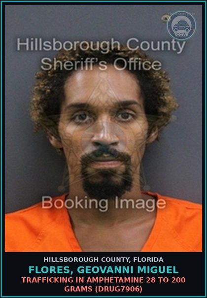CCW arrest card for FLORES, GEOVANNI MIGUEL in Hillsborough County: DELIVERY OF A contr substance (SCHEDULE II) (DRUG1619)