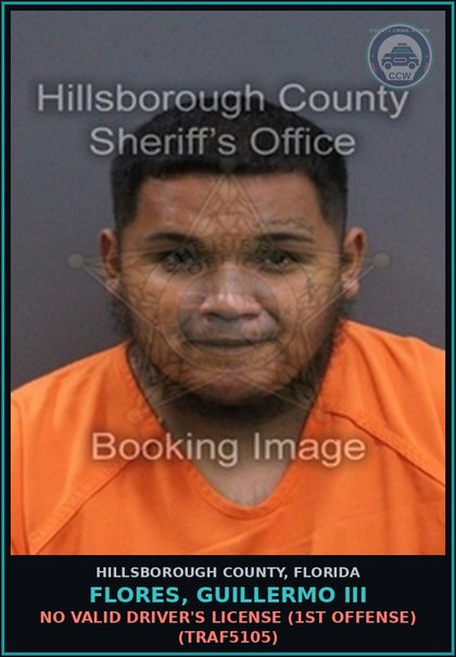 CCW arrest card for FLORES, GUILLERMO III in Hillsborough County: NO VALID DRIVER'S LICENSE (1ST OFFENSE) (TRAF5105)
